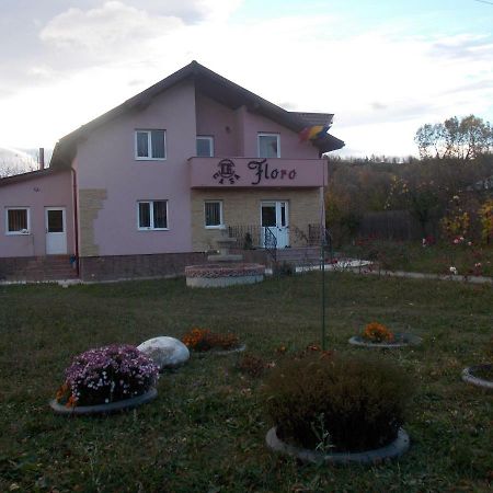 Casa Floro Apartment Comanesti  Exterior foto
